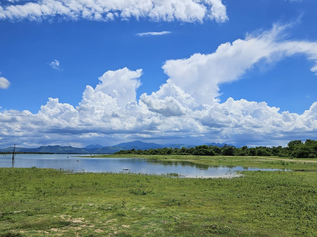 Udawalawe Safari Kingdom-乌达瓦拉瓦必去景点