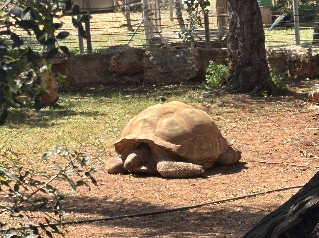 Pafos Zoo-帕福斯必去景点