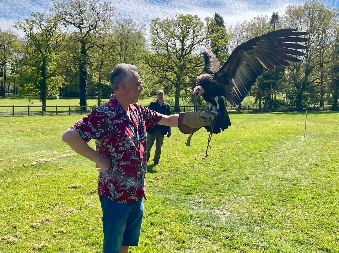 Surrey Hills Falconry-Ockley必去景点