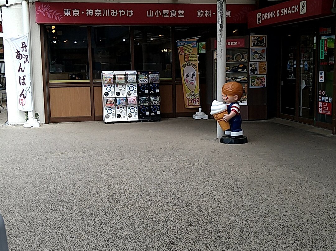 Ayuzawa Parking Area Outbound-山北町必去景点
