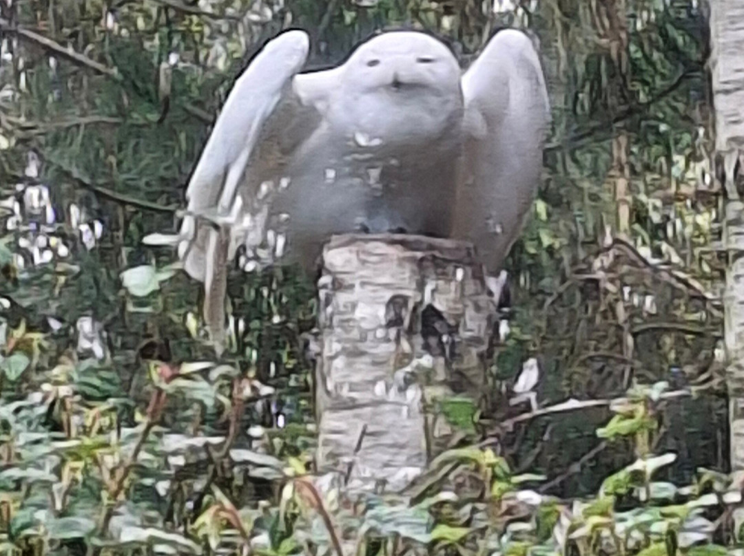 Wildlands Adventure Zoo Emmen-Emmen必去景点