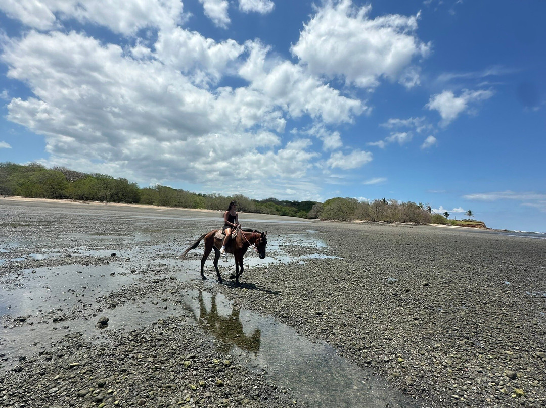 Guti Tours-Playa Avellanas必去景点