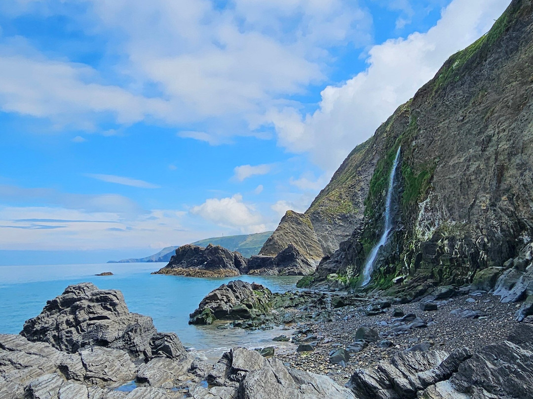 Nantgwynfaen Organic Farm Wales主图