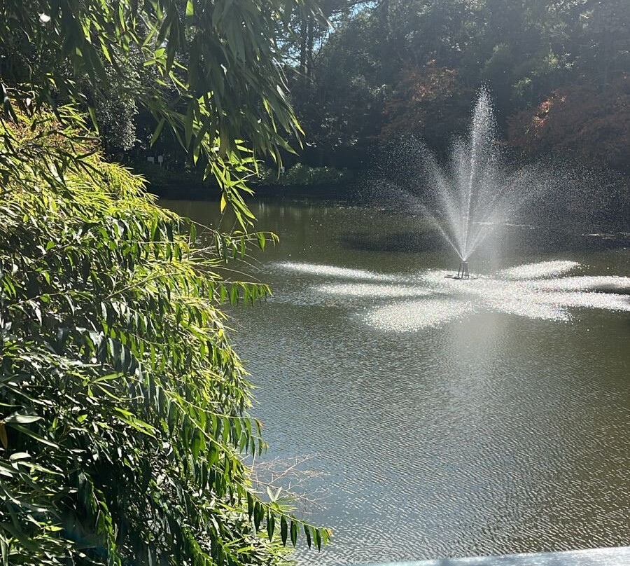 Parque Aldeia do Imigrante-Nova Petropolis必去景点