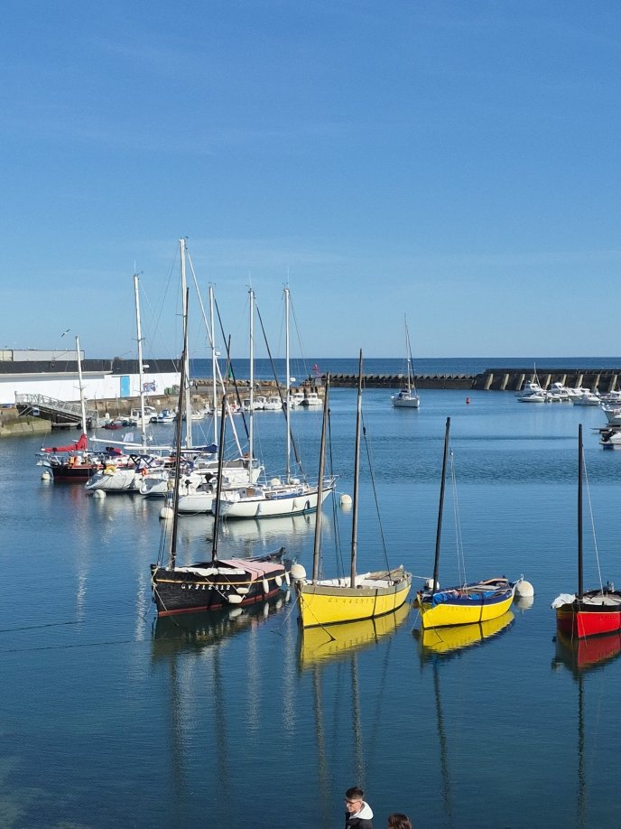 海港酒店-旅行者