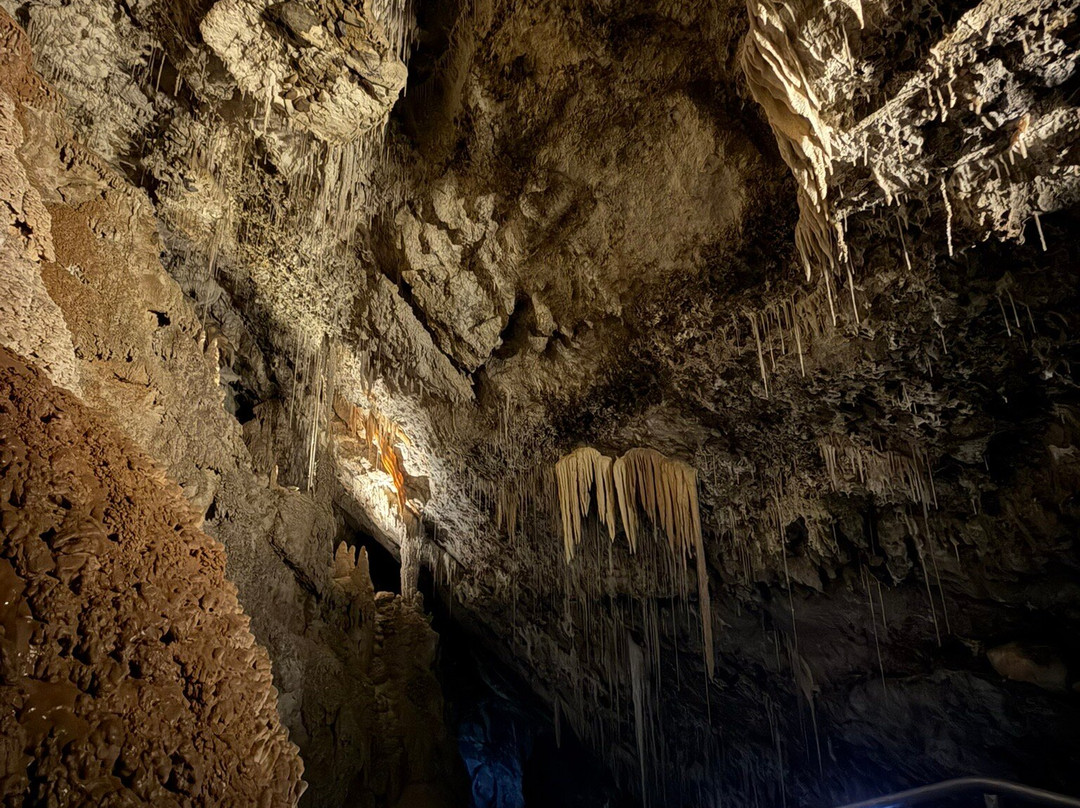 Mole Creek Caves-茉莉溪必去景点