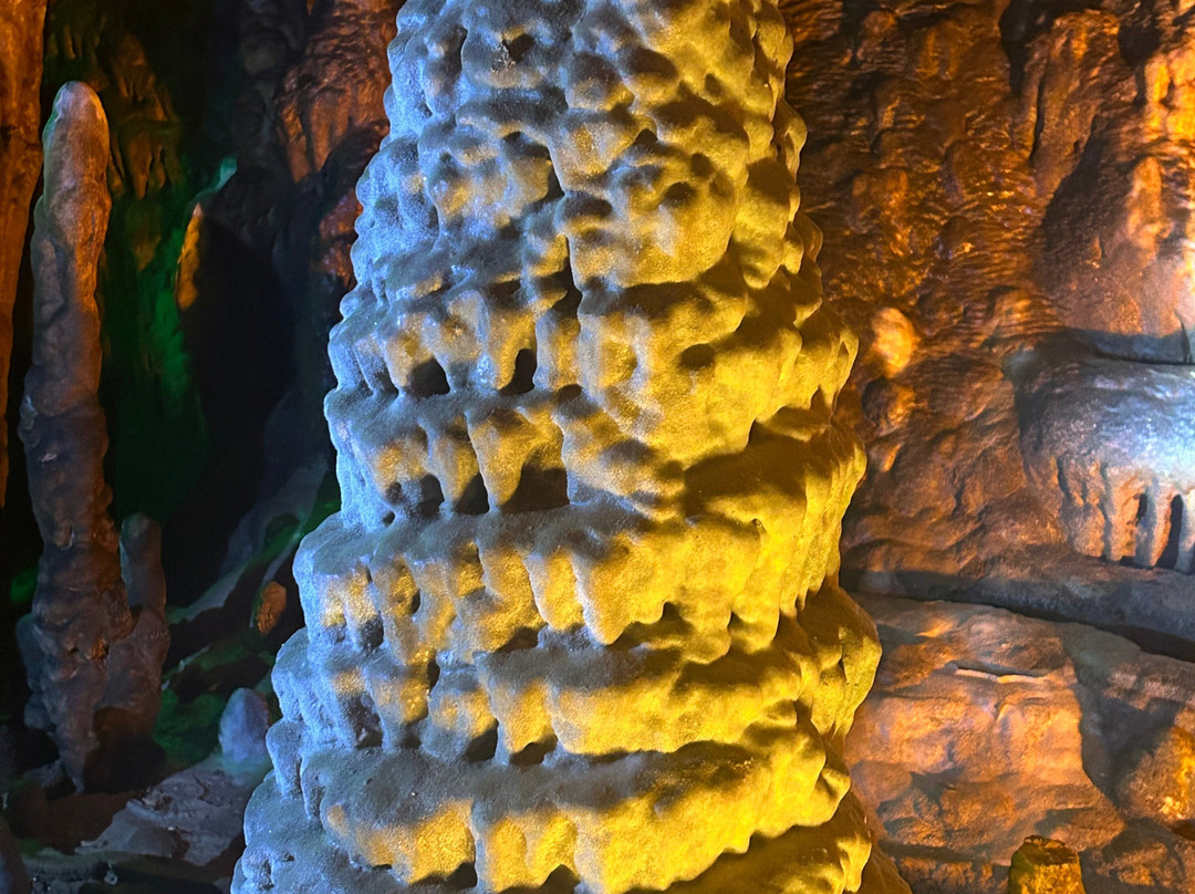 Florida Caverns State Park-Marianna必去景点