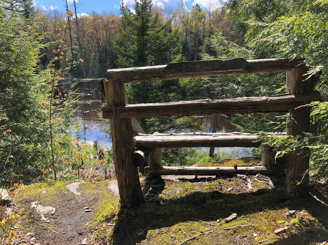 Baker Woods Preserve-Natural Bridge必去景点