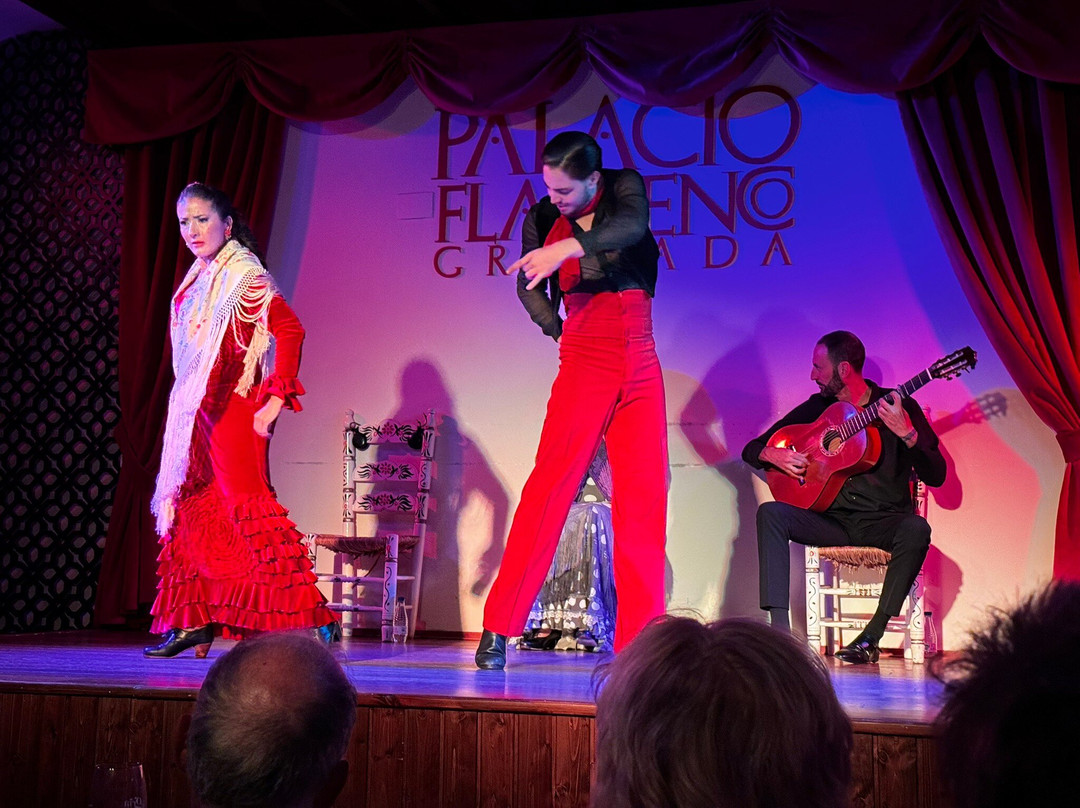 Palacio Flamenco Granada-格拉纳达必去景点
