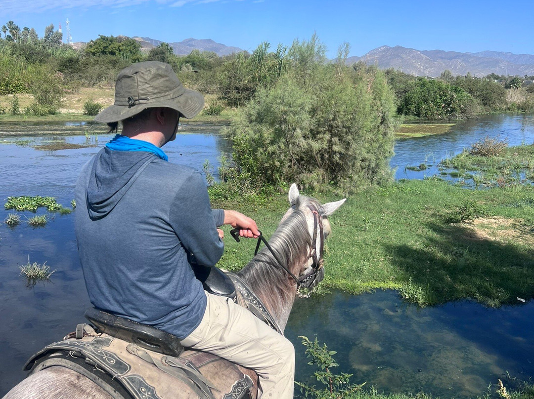 Rancho Animas-Animas Bajas必去景点
