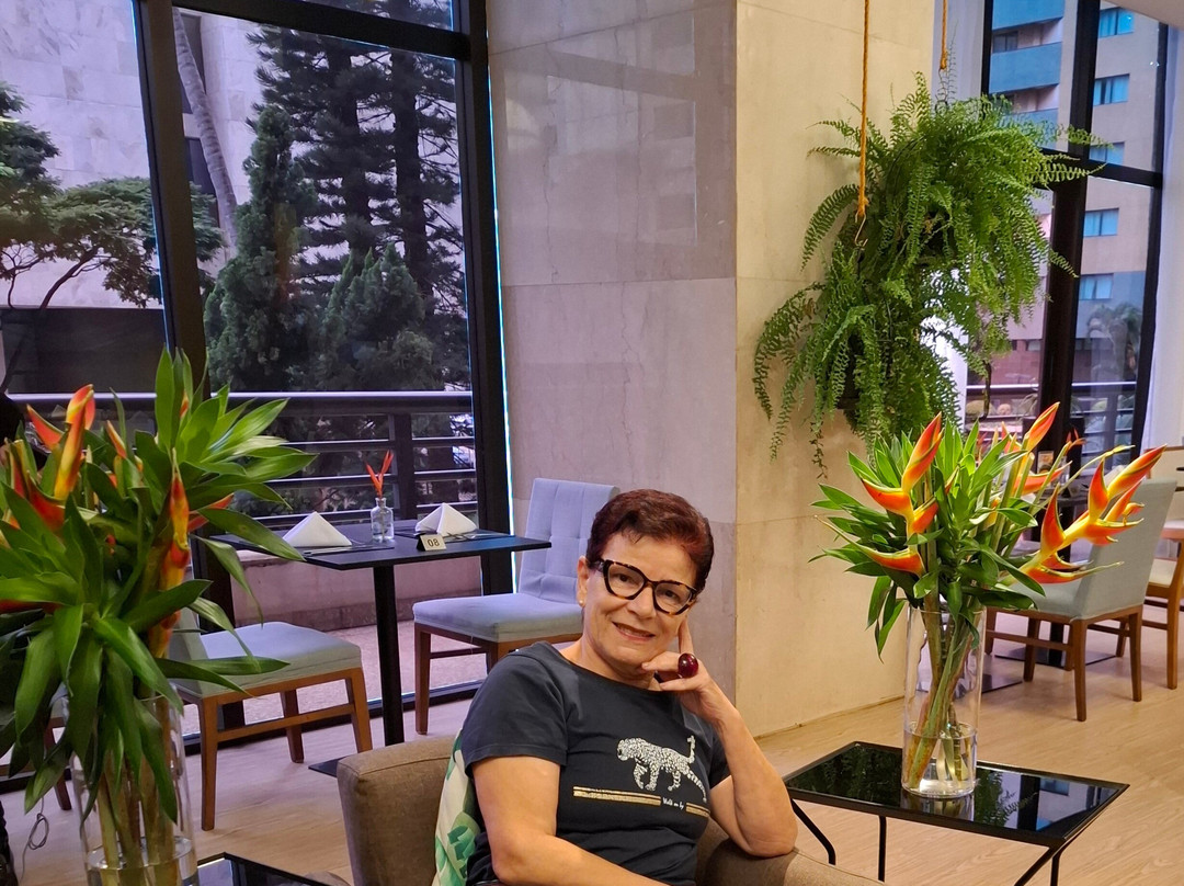 巴西利亚埃舒美爵酒店主图