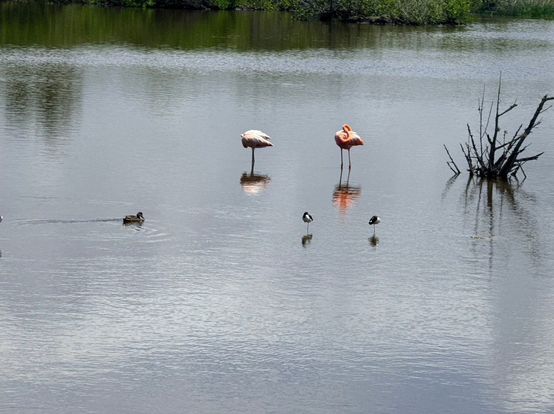 Laguna Salinas-维里亚米尔港必去景点
