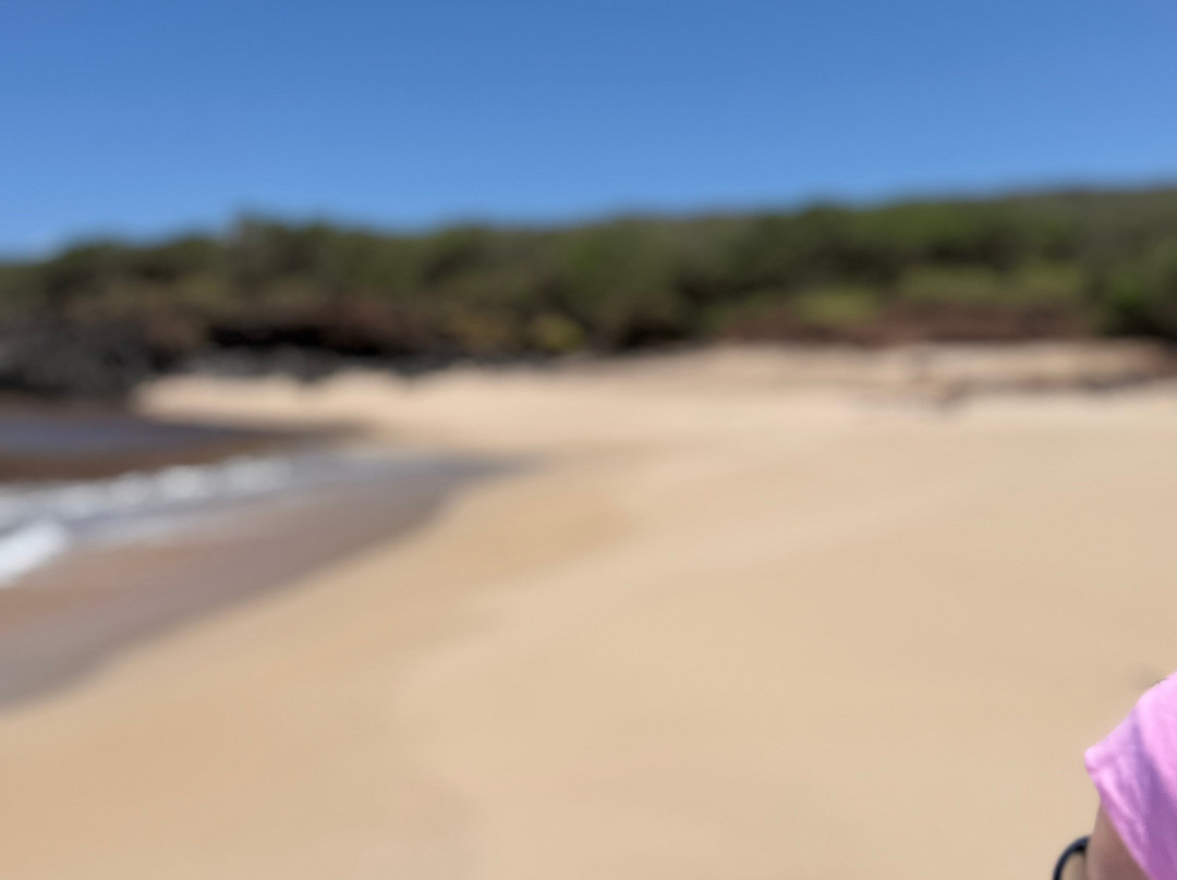 Kawakiu Beach-莫纳罗亚必去景点