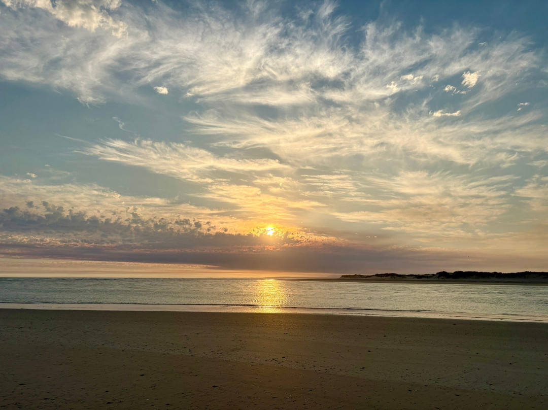 Canoe The Coorong - Day Tours-Hindmarsh Island必去景点