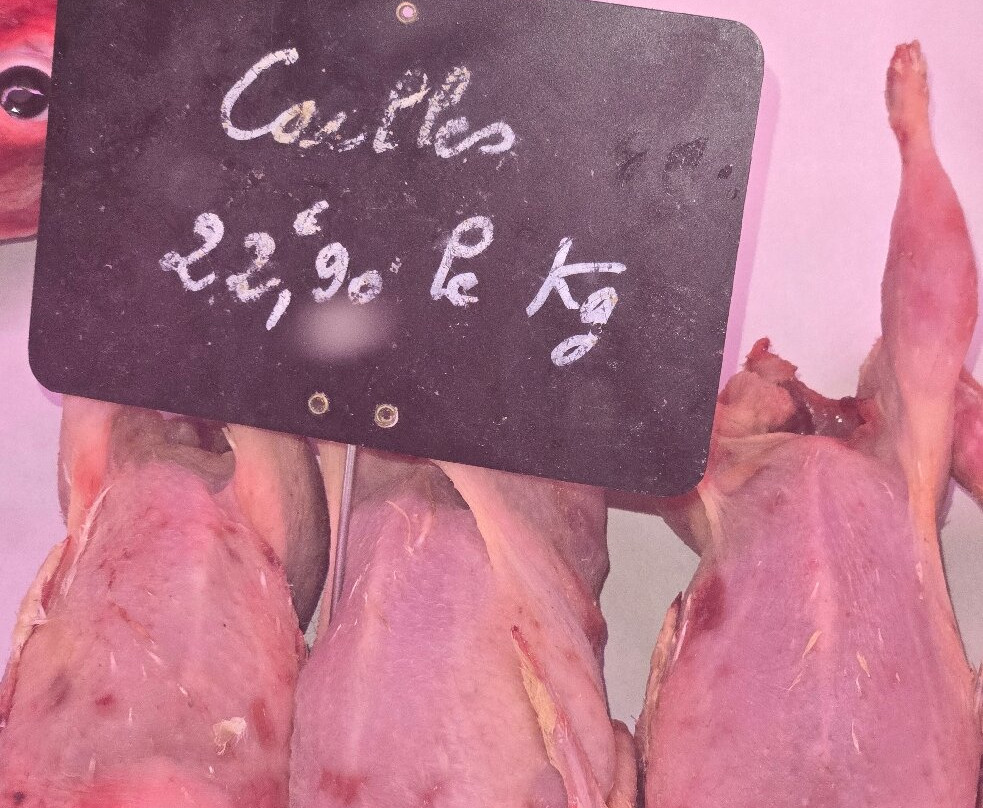 Marché sous les halles-罗什福尔必去景点