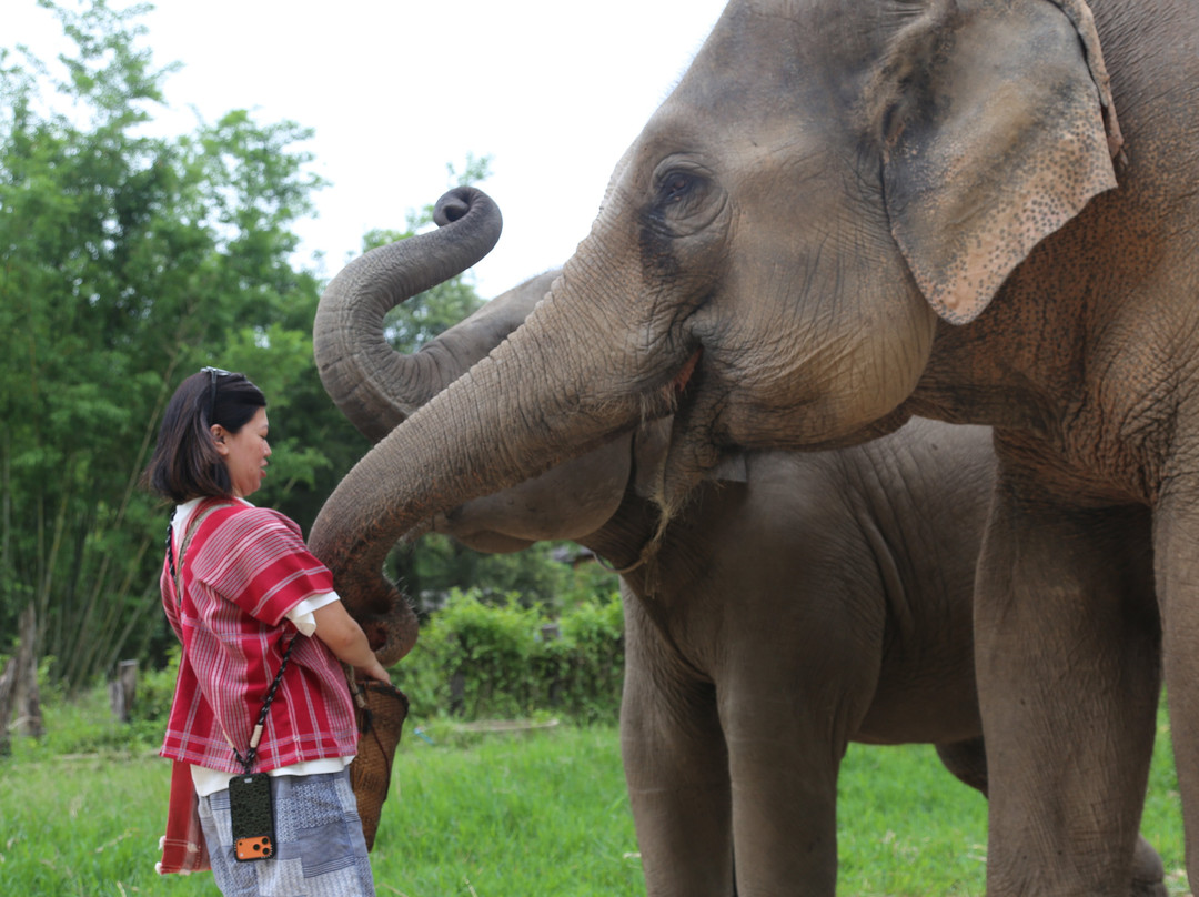 Karen Tribe Native Elephant-清迈必去景点