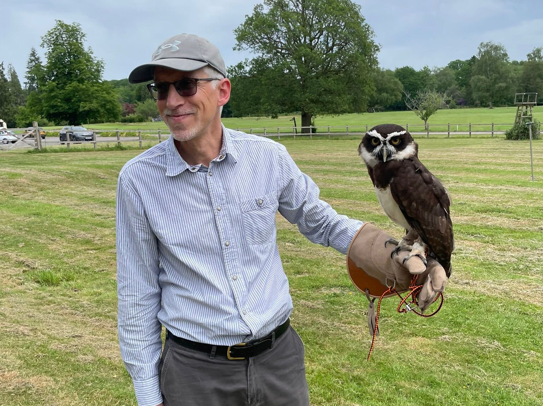 Surrey Hills Falconry-Ockley必去景点