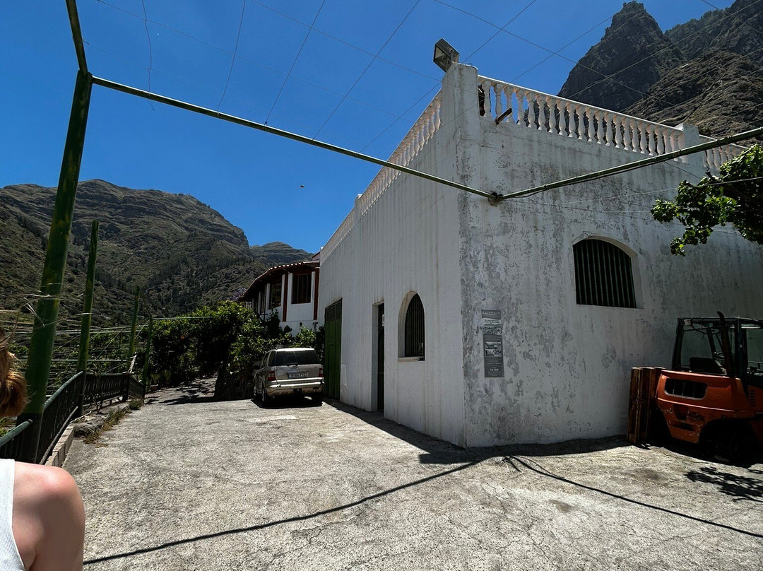 Bodega Los Berrazales-Agaete必去景点