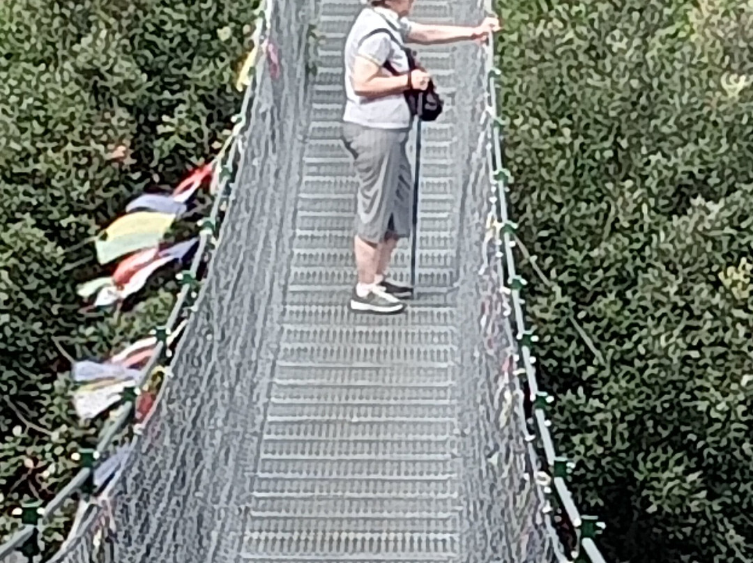 Ponte tibetano-托里德尔贝纳科必去景点