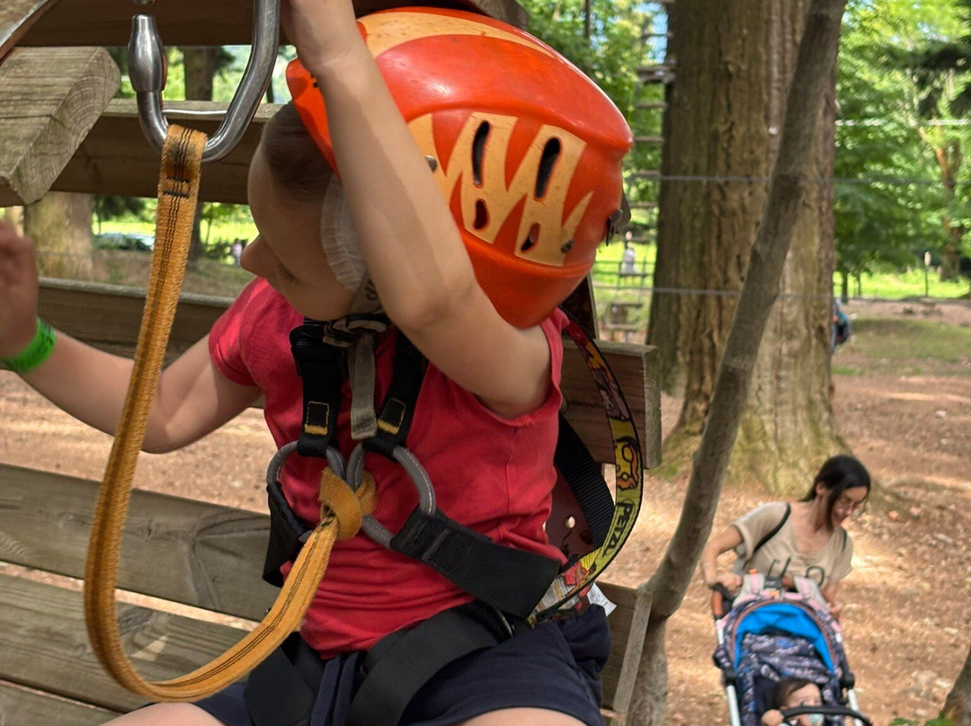 Jungle Raider Park-Albavilla必去景点