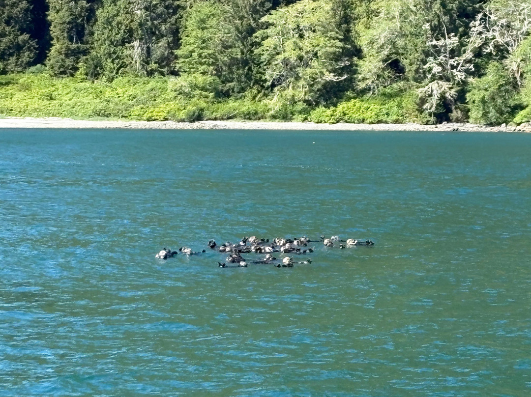 Jamie's Whaling Station and Adventure Centre - Ucluelet-尤克卢利特必去景点