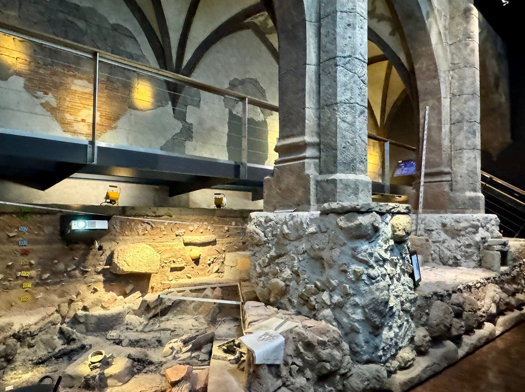 MARQ Museo Arqueologico de Alicante-阿利坎特省必去景点