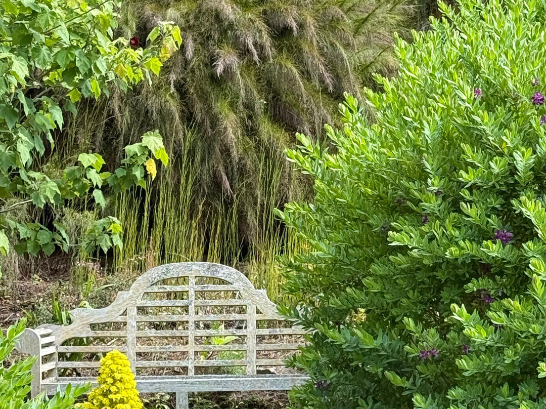 特雷明希尔雕塑花园-彭赞斯必去景点