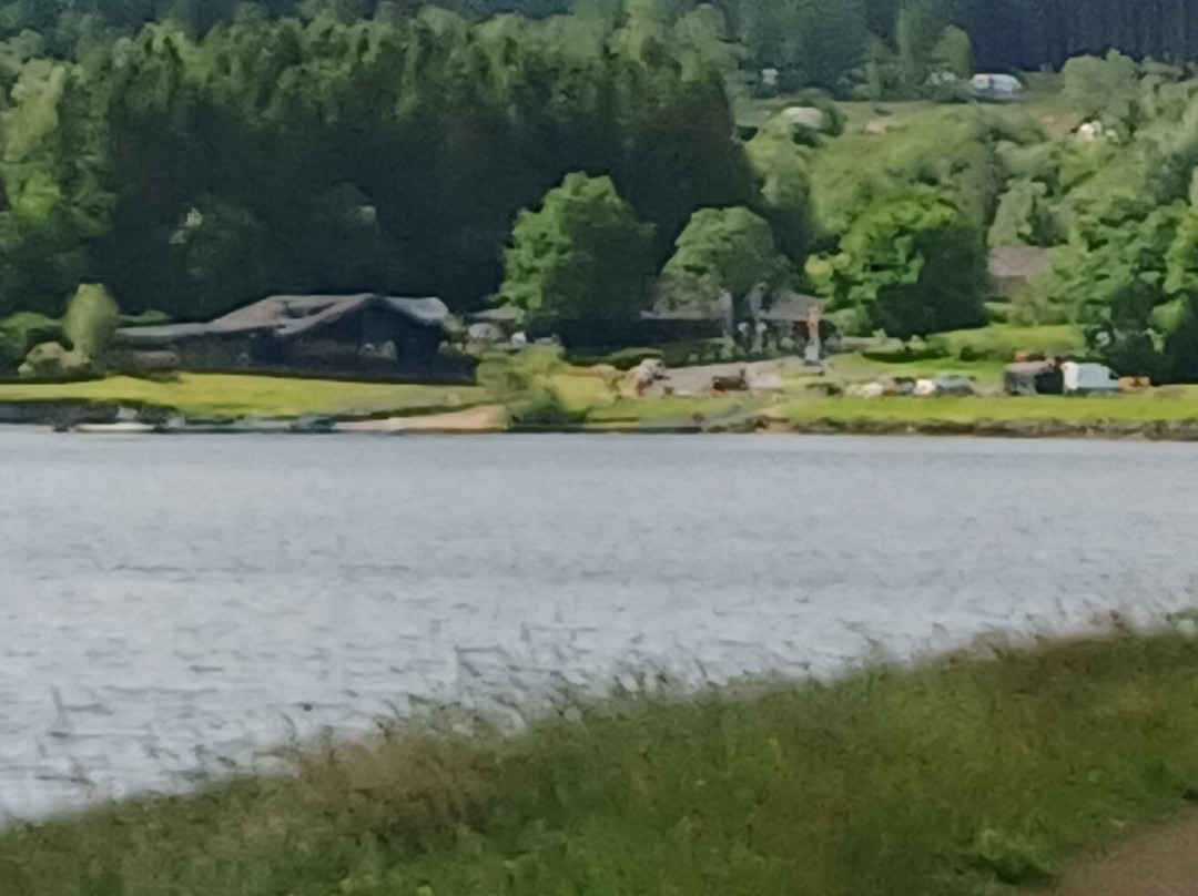 Kielder Forest-Kielder必去景点