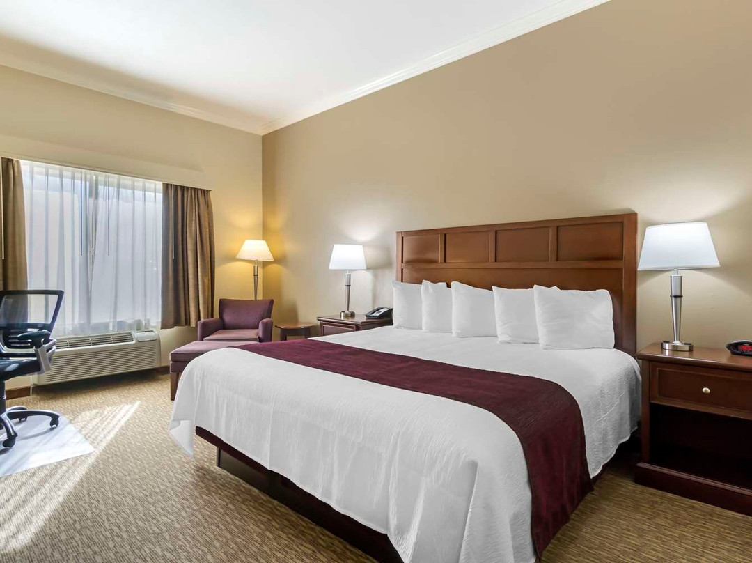Outlook酒店住宿-Best Western Plus Grapevine Inn