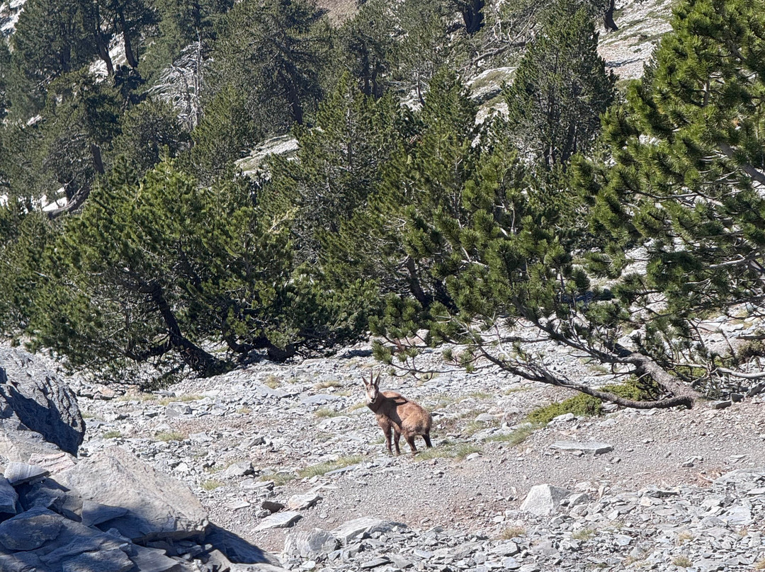 Trekking Hellas Mt.Olympus-Litochoro必去景点