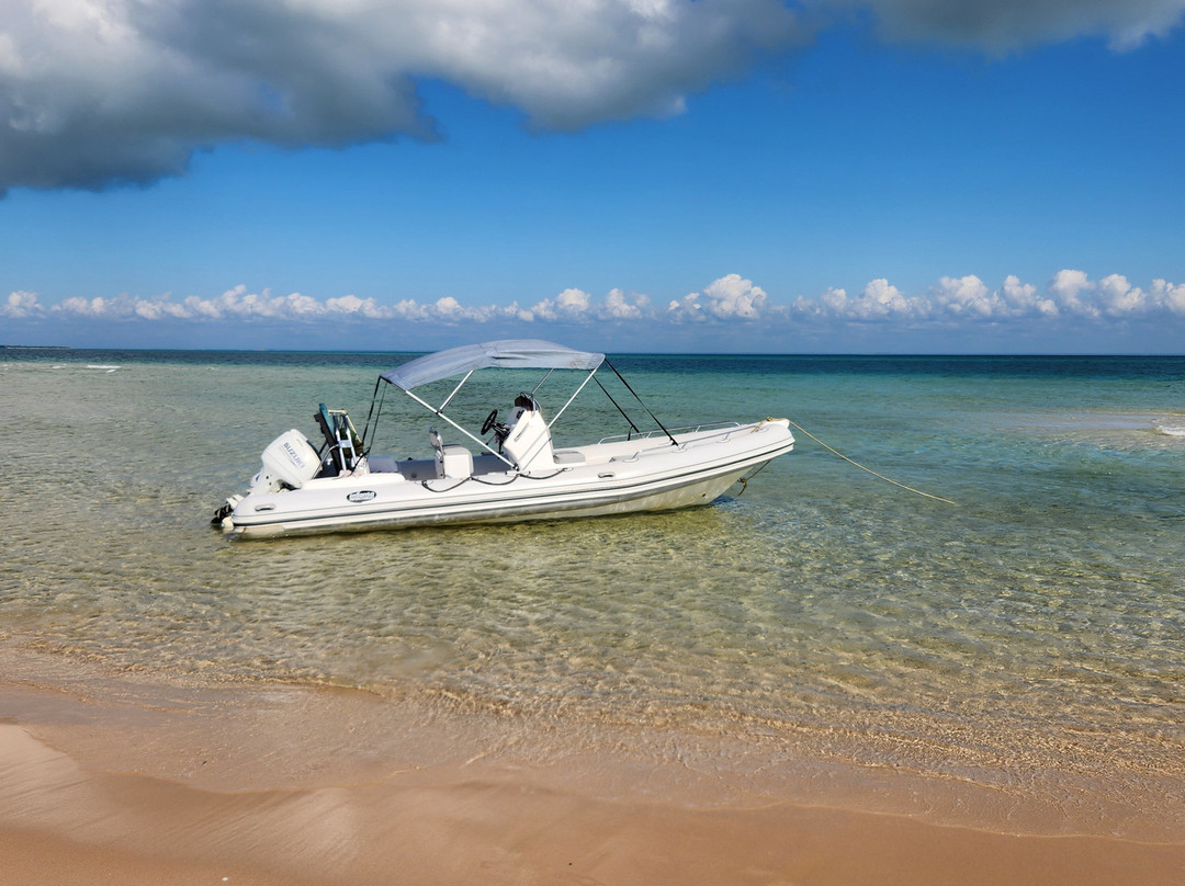 Wild Africa Ocean Safaris-Vilanculos必去景点
