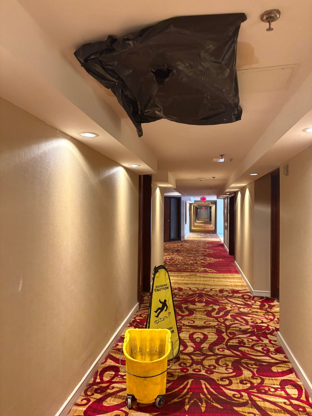 波士顿/达哈姆希尔顿酒店-旅行者