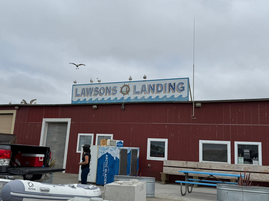 Lawsons Landing-Dillon Beach必去景点