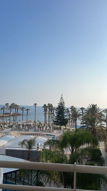 路易斯莱德拉海滩酒店-旅行者
