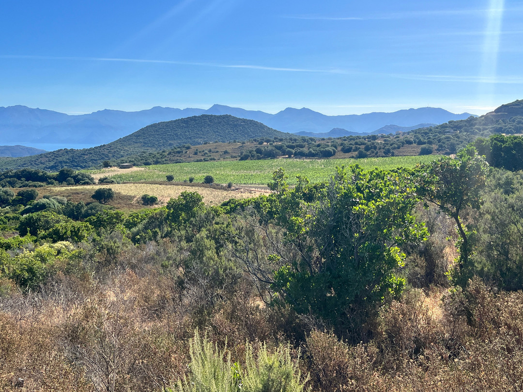 Saleccia Off Road-Saint Florent必去景点