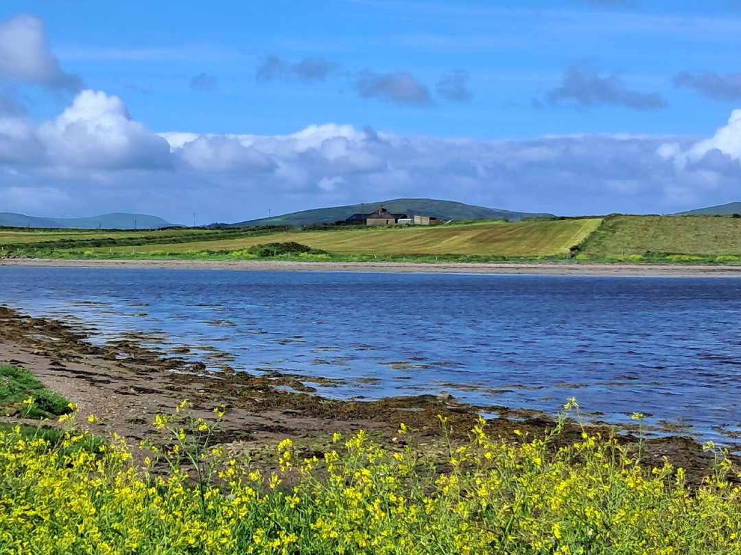 Ballycarbery Castle-Cahersiveen必去景点