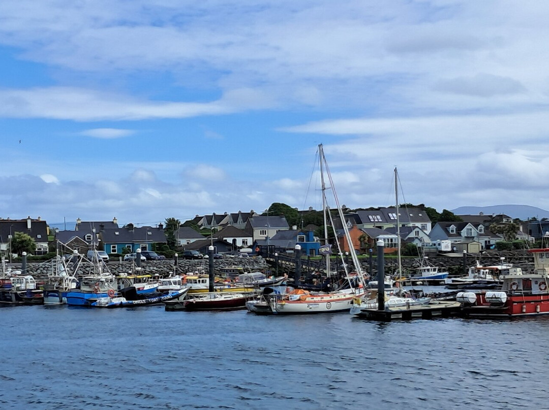 Dingle Marina-丁格尔必去景点