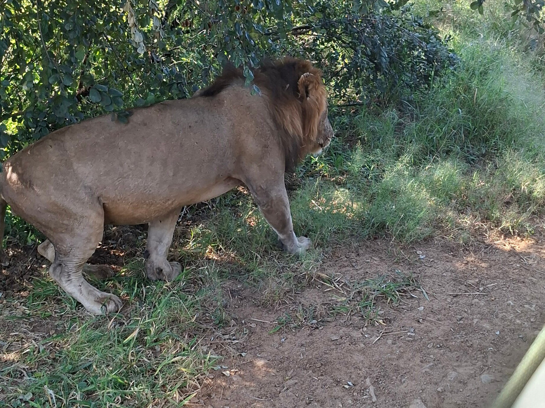 Mikumi National Park-米库米国家公园必去景点