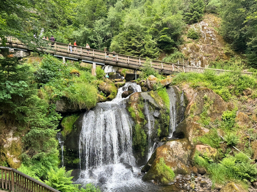 Triberger Waterfall-特里贝格必去景点