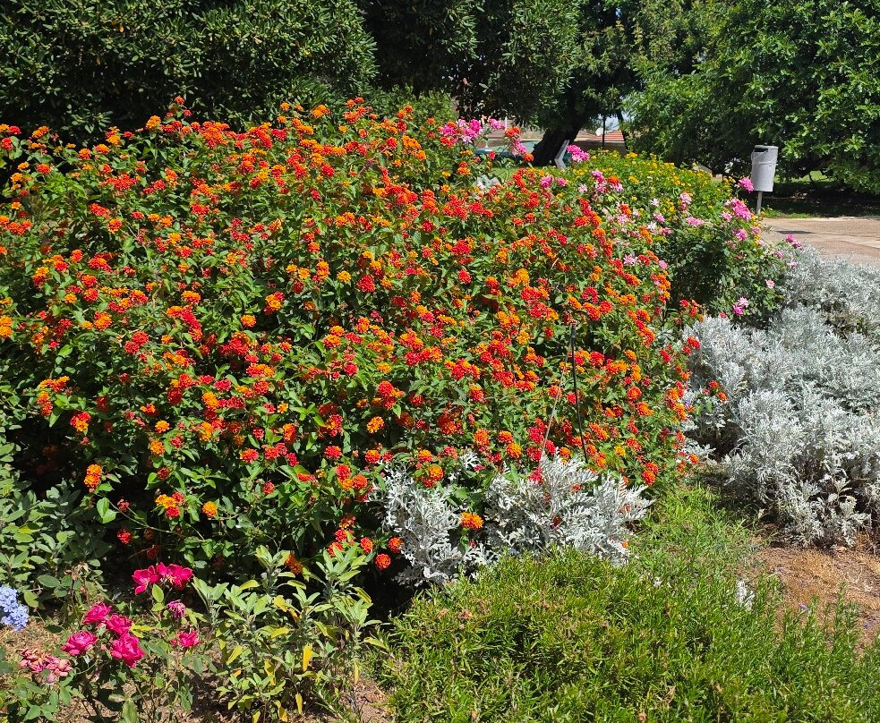 Giardini Pubblici Cagliari-卡利亚里省必去景点