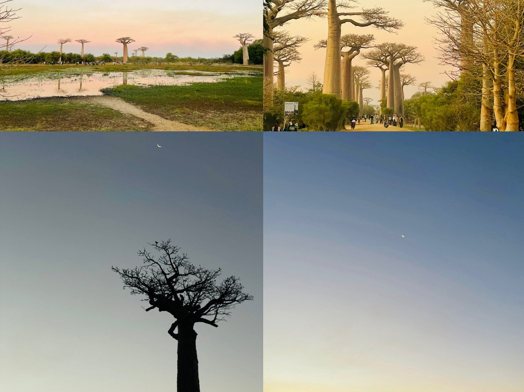 GMT+3 Great Madagascar Tours - Day Tours-安塔那那利佛必去景点