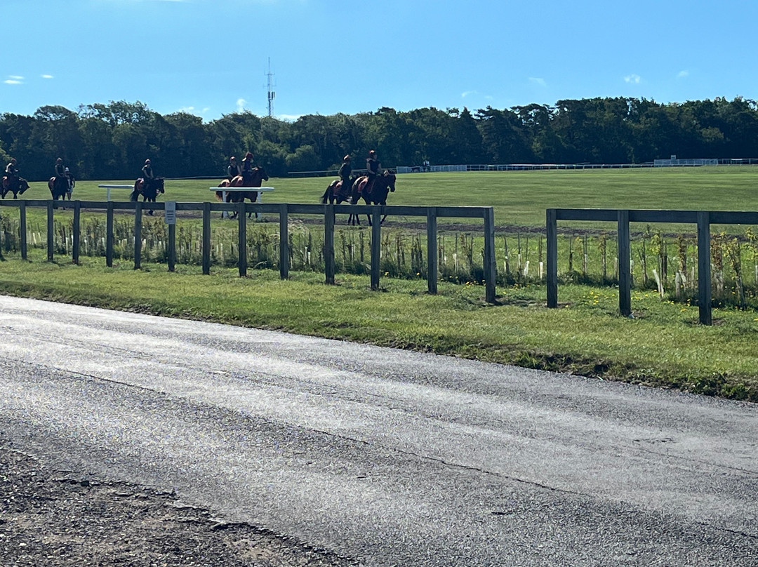 Discover Newmarket Tours-纽马克特必去景点
