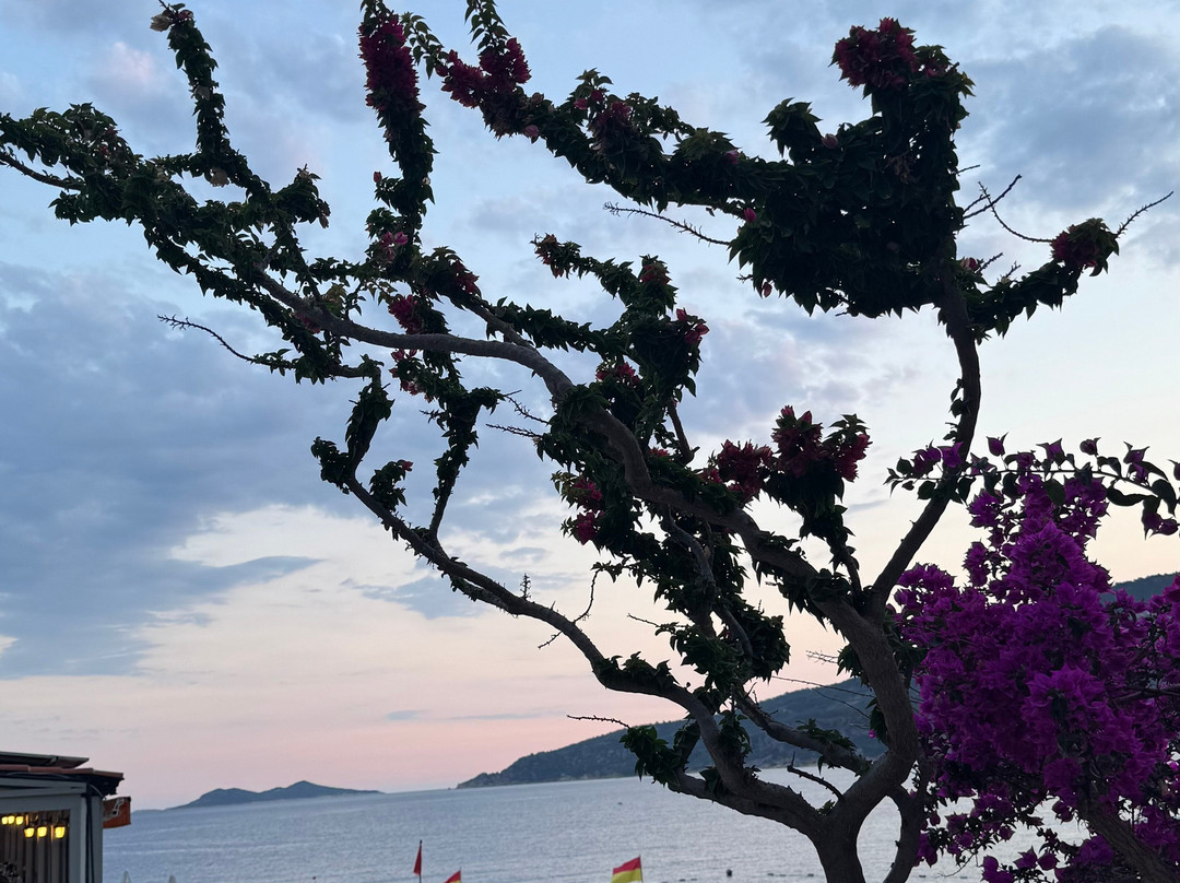 Kalamar Beach Club-卡尔坎必去景点