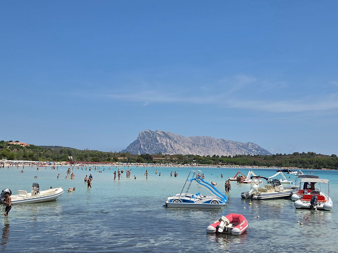 Cala Brandinchi-Capo Coda Cavallo必去景点