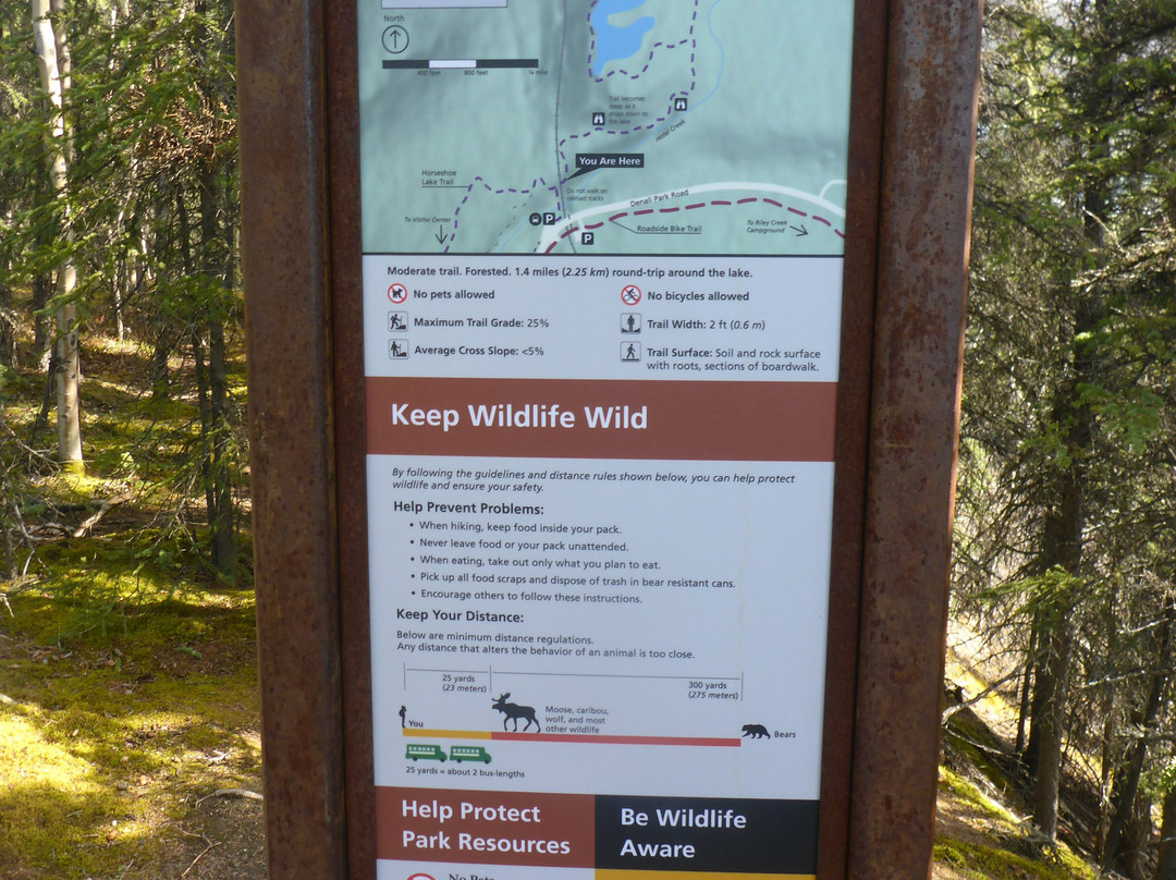 Denali National Park-阿拉斯加必去景点