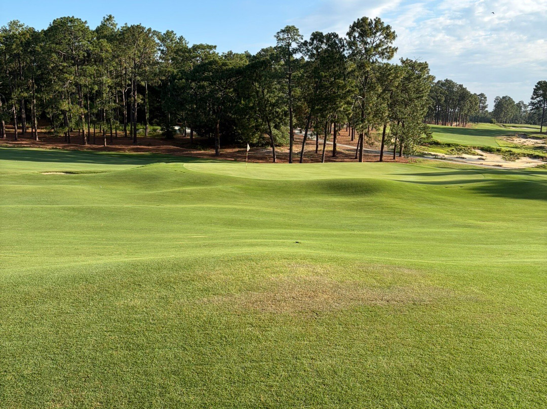 Pinehurst Golf Resort主图