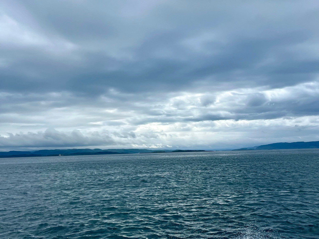 Jenny Wren Boat Charter-Craobh Haven必去景点