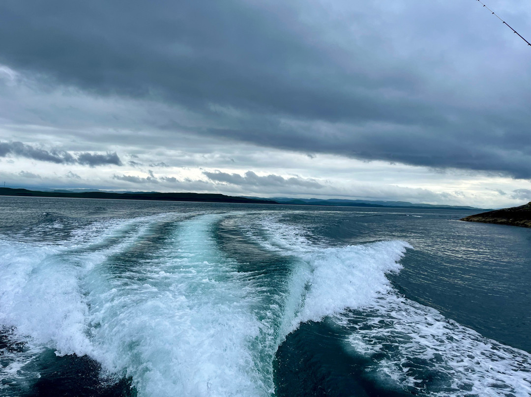 Jenny Wren Boat Charter-Craobh Haven必去景点