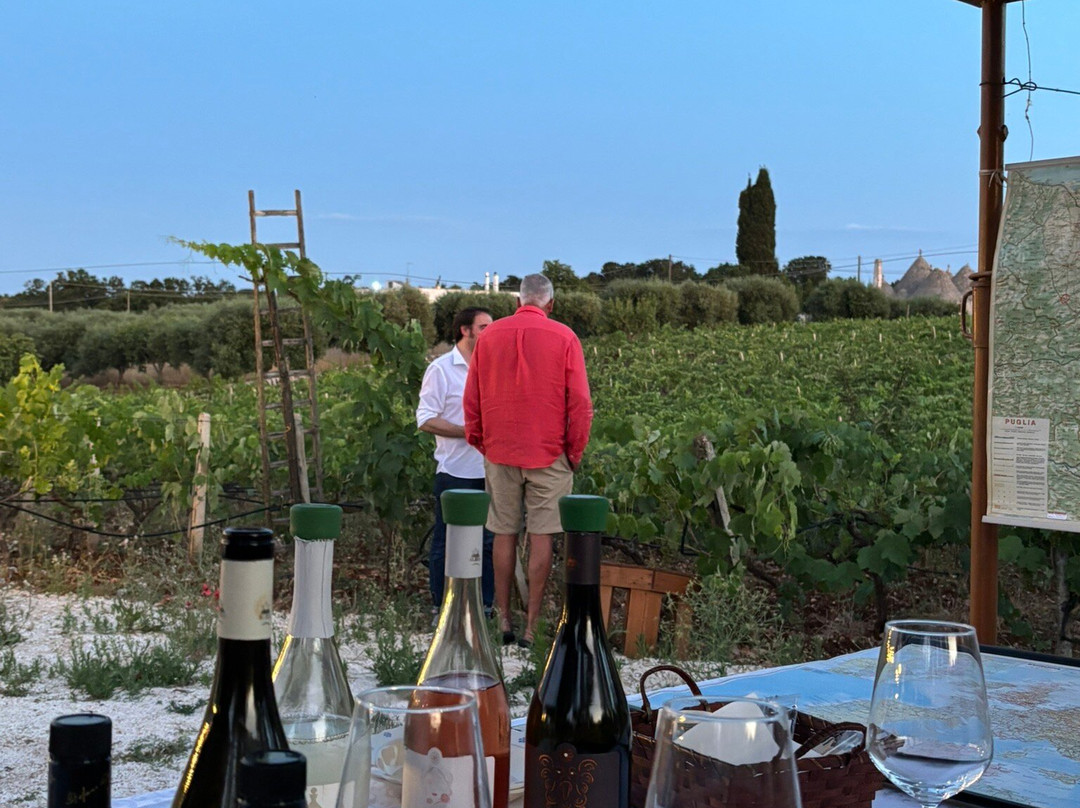 Cantina Albea winery and museum-阿尔贝罗贝洛必去景点