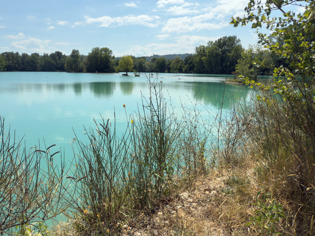 Birding In Italy-Capolona必去景点